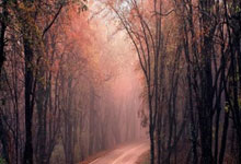 失误&犯规控制不好！太阳半场失误数是火箭3倍，犯规也比火箭多一半.