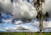 [英超]索博斯洛伊打门被挡 加克波跟进补射破门.