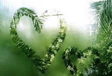 [CBA]辽宁逆转福建 送对手十二连败.