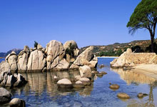 [国际足球]奥巴梅扬献绝杀 新月遭遇赛季联赛第二败.